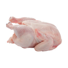 Chicken Meat