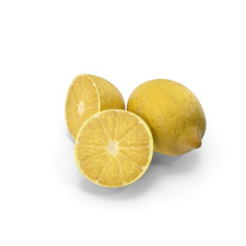 Lemon